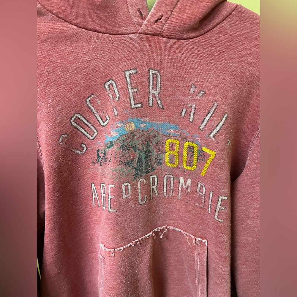 Abercrombie & Fitch Vintage Red Cooper Kiln Hoodie ASO Jessica Simpson - Picture 2 of 11